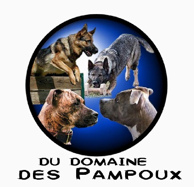 Du Domaine Des Pampoux